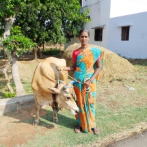 FAMILY SPONSORSHIP FUND PHOTOS-1