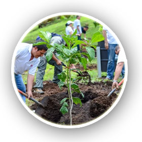 Afforestation in each and every home for better future